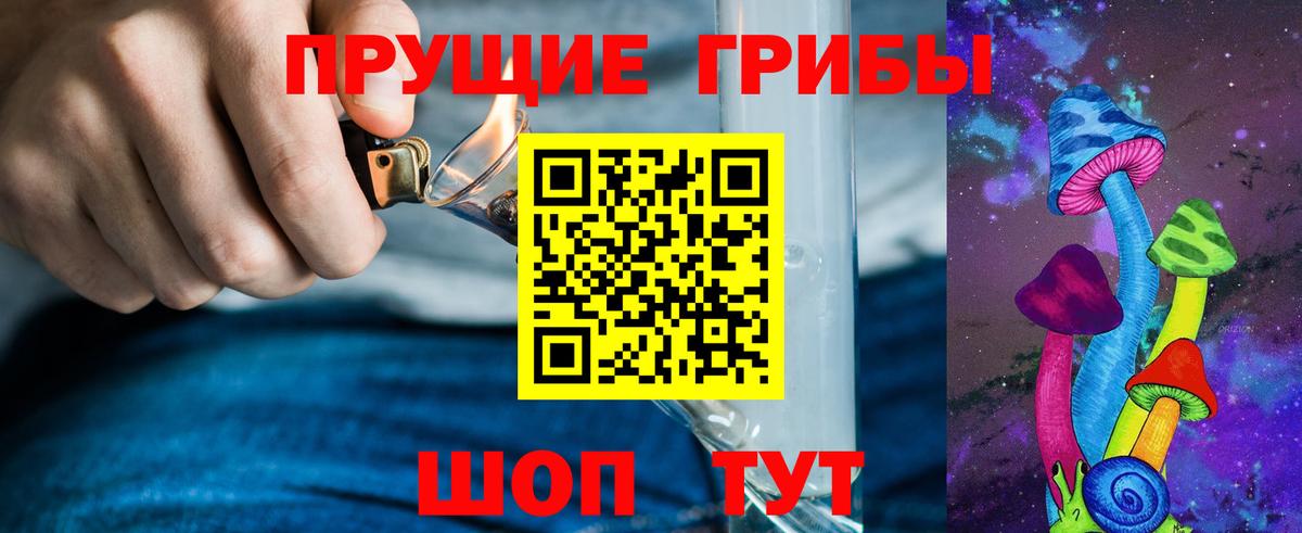 Псилоцибиновые грибы прущие грибы  Вход с VPN  Хасавюрт  Галлюциногенные грибы Psilocybe 